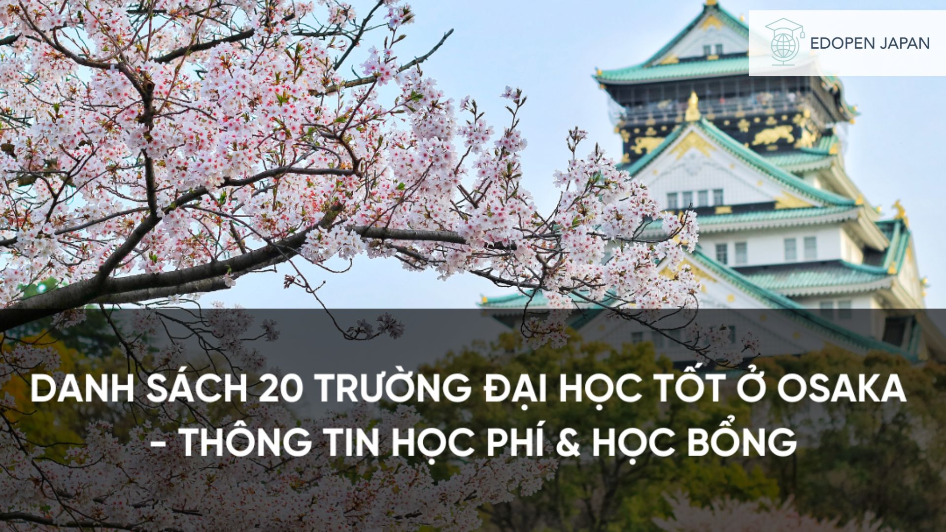 Ảnh minh họa bài viết Danh sách 20 trường đại học tốt ở Osaka – Thông tin học phí & học bổng trên Mokumoku