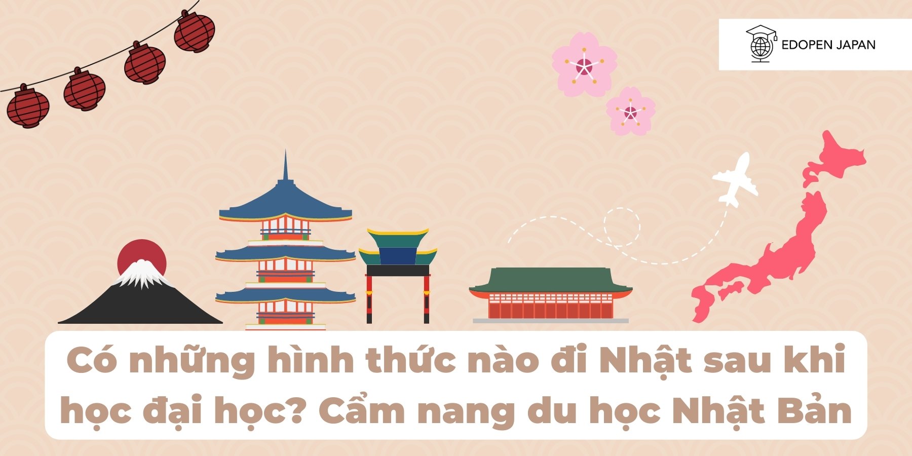 Ảnh minh họa bài viết Có những hình thức nào đi Nhật sau khi học đại học? Cẩm nang du học Nhật trên Mokumoku